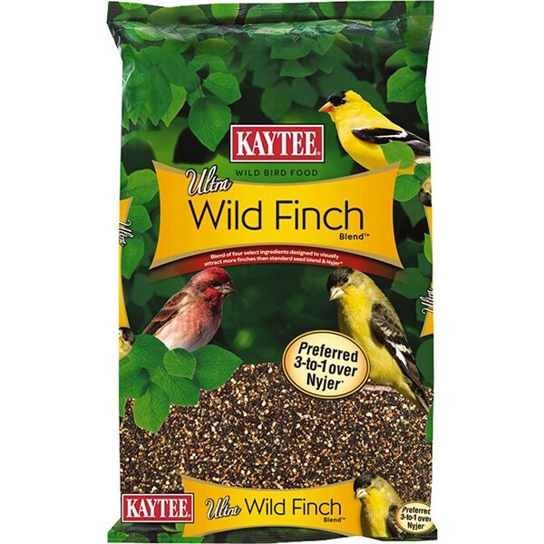Ultra Wild Finch Wild Bird